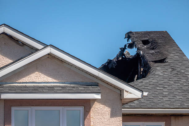 Top rated local Fire Damage Removal specialists in Allen, TX